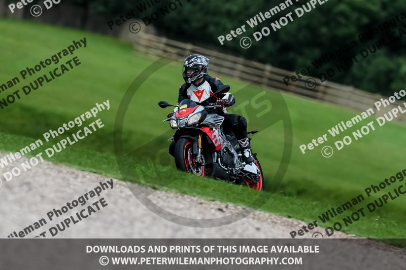 PJ Motorsport 2019;donington no limits trackday;donington park photographs;donington trackday photographs;no limits trackdays;peter wileman photography;trackday digital images;trackday photos